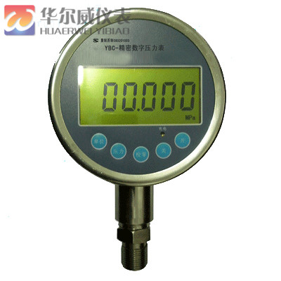 精密數字壓力表